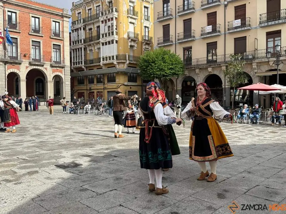 Aliste y Tras-os-Montes_33