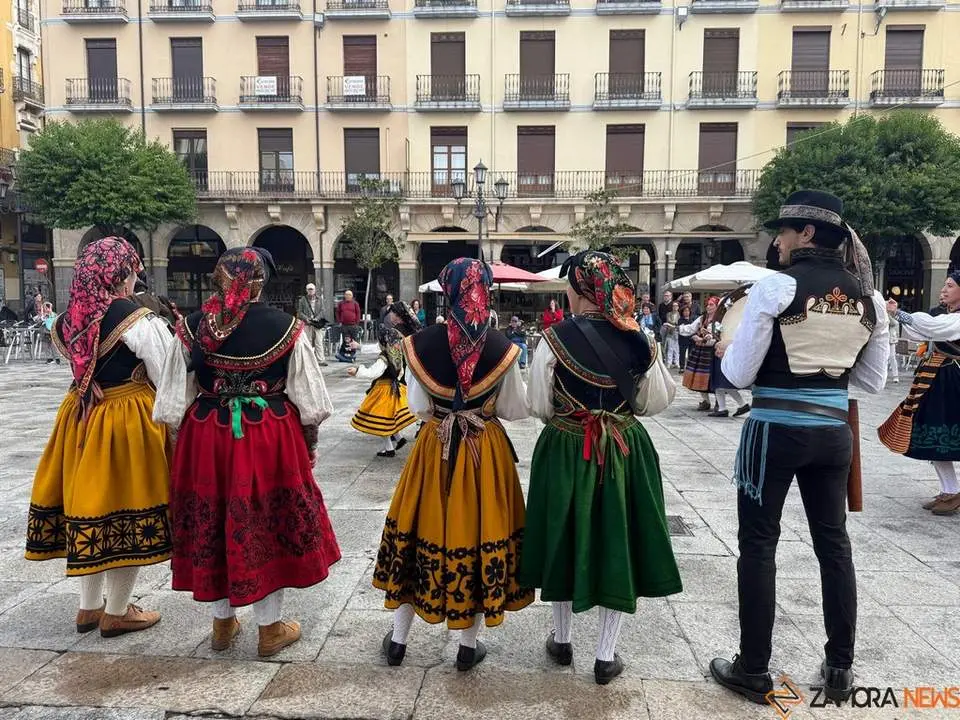 Aliste y Tras-os-Montes_32