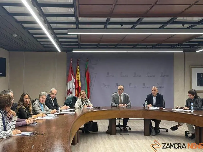 Consejo de Salud de Zamora 