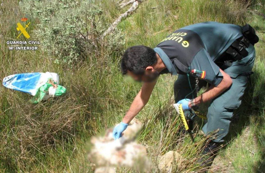 Guardia Civil