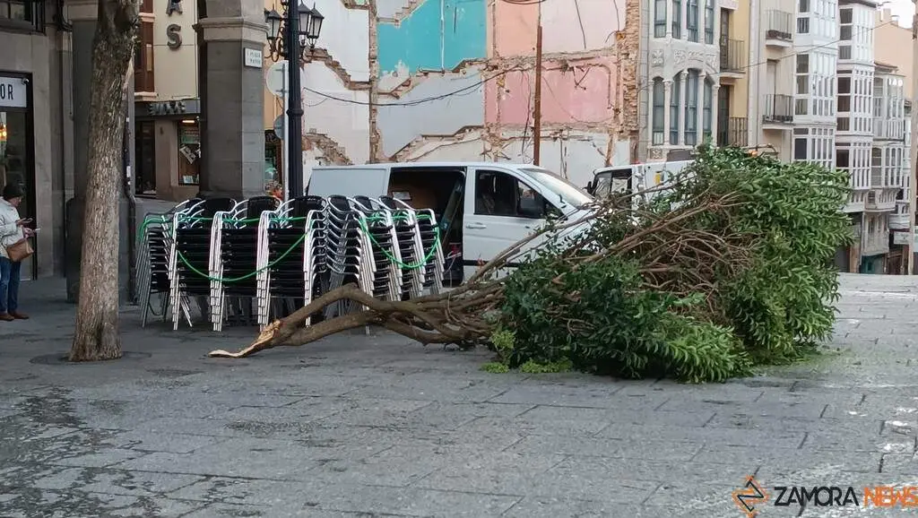 Destrozos Zamora Vientos_2