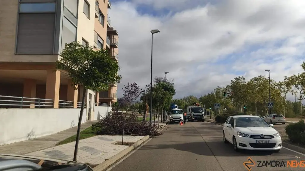 Destrozos Zamora Vientos_4