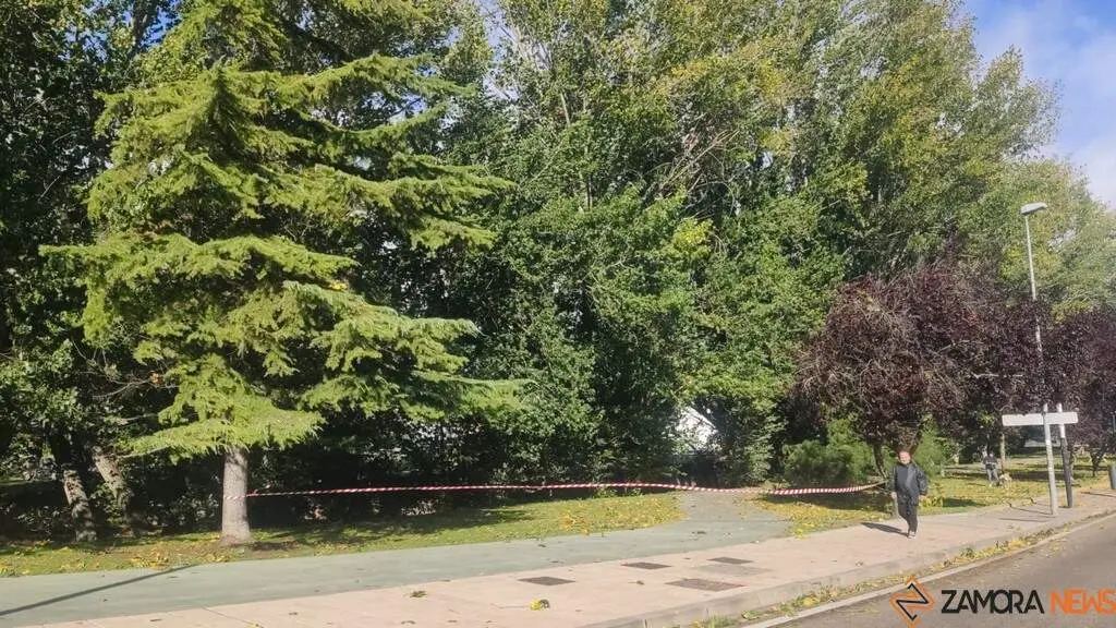 Destrozos Zamora Vientos_7