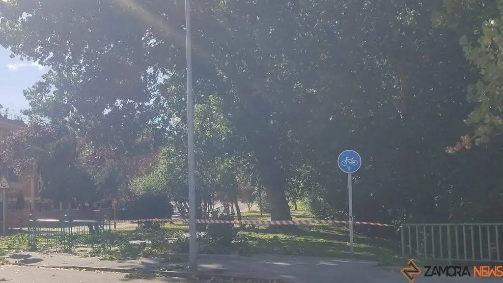 Destrozos Zamora Vientos_8