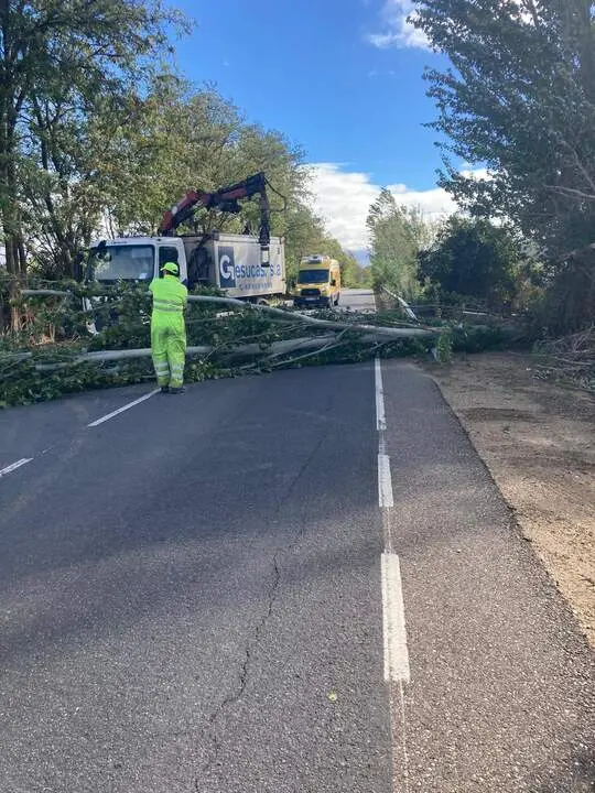 Imagen de WhatsApp 2024-10-09 a las 12.50.27_836bda47