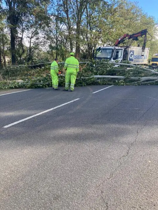 Imagen de WhatsApp 2024-10-09 a las 12.50.27_fdffef3f