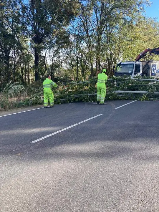 Imagen de WhatsApp 2024-10-09 a las 12.50.27_16de865f