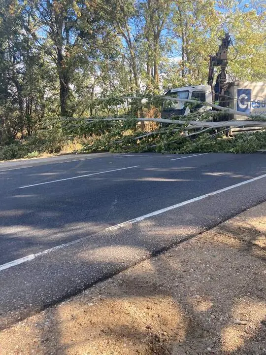 Imagen de WhatsApp 2024-10-09 a las 12.50.26_83ed8e46