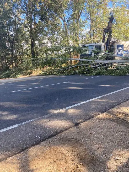 Imagen de WhatsApp 2024-10-09 a las 12.50.26_e5cbac0d