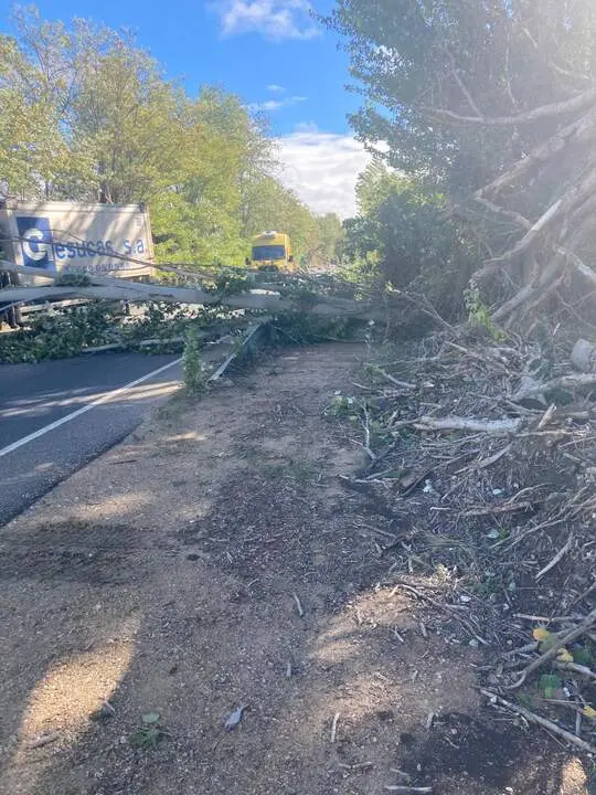 Imagen de WhatsApp 2024-10-09 a las 12.50.26_e6b8f8c8