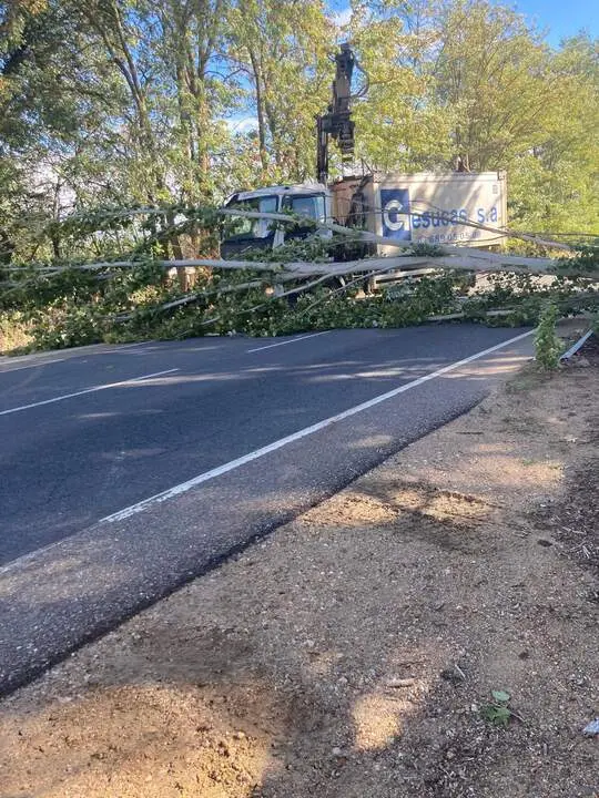 Imagen de WhatsApp 2024-10-09 a las 12.50.25_c8b6143f