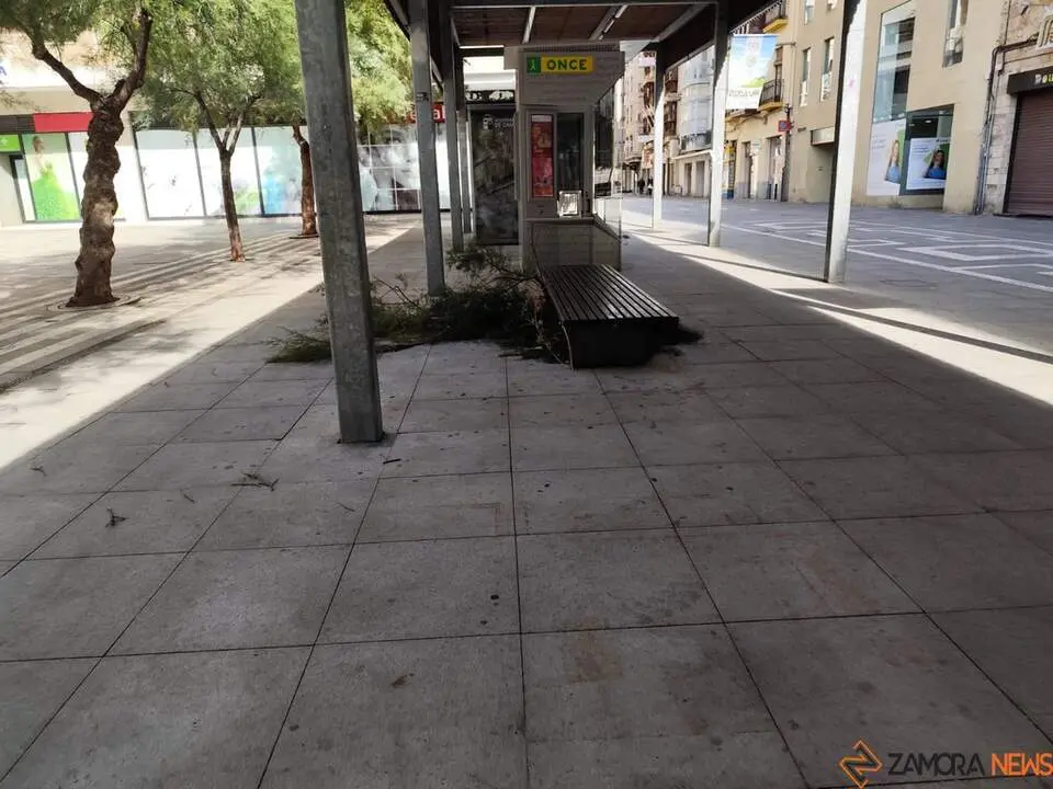 Destrozos Zamora Vientos_2