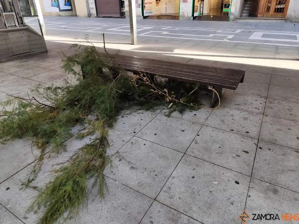 Destrozos Zamora Vientos_3
