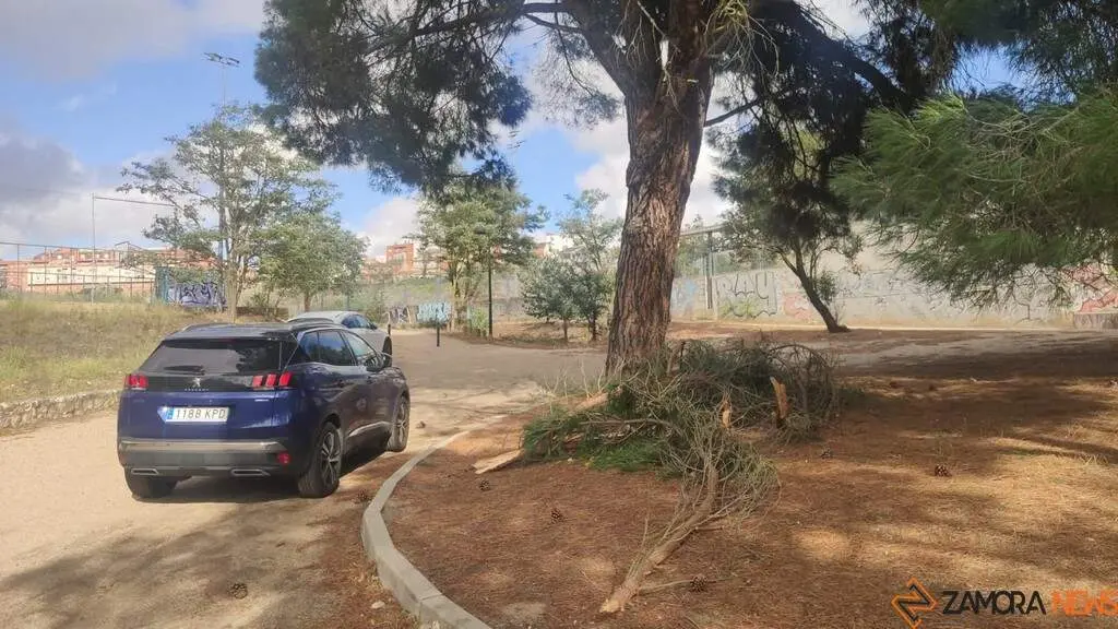 Destrozos Zamora Vientos_4