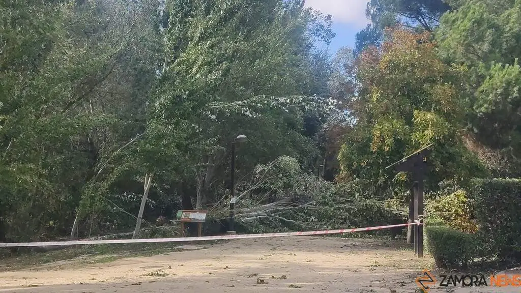 Destrozos Zamora Vientos_5