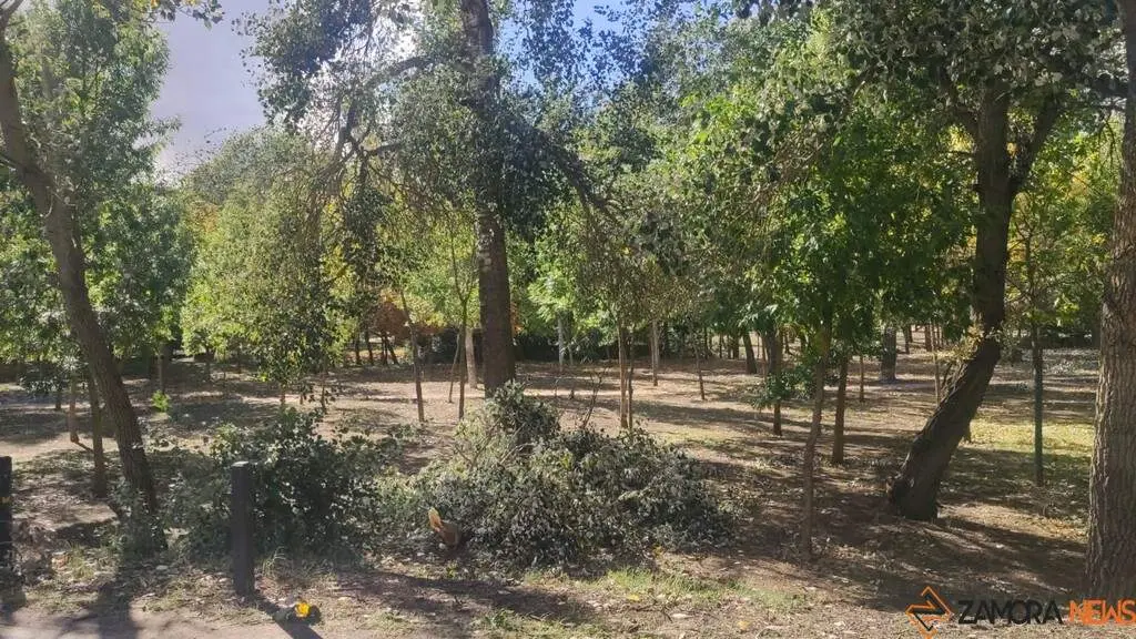 Destrozos Zamora Vientos_7