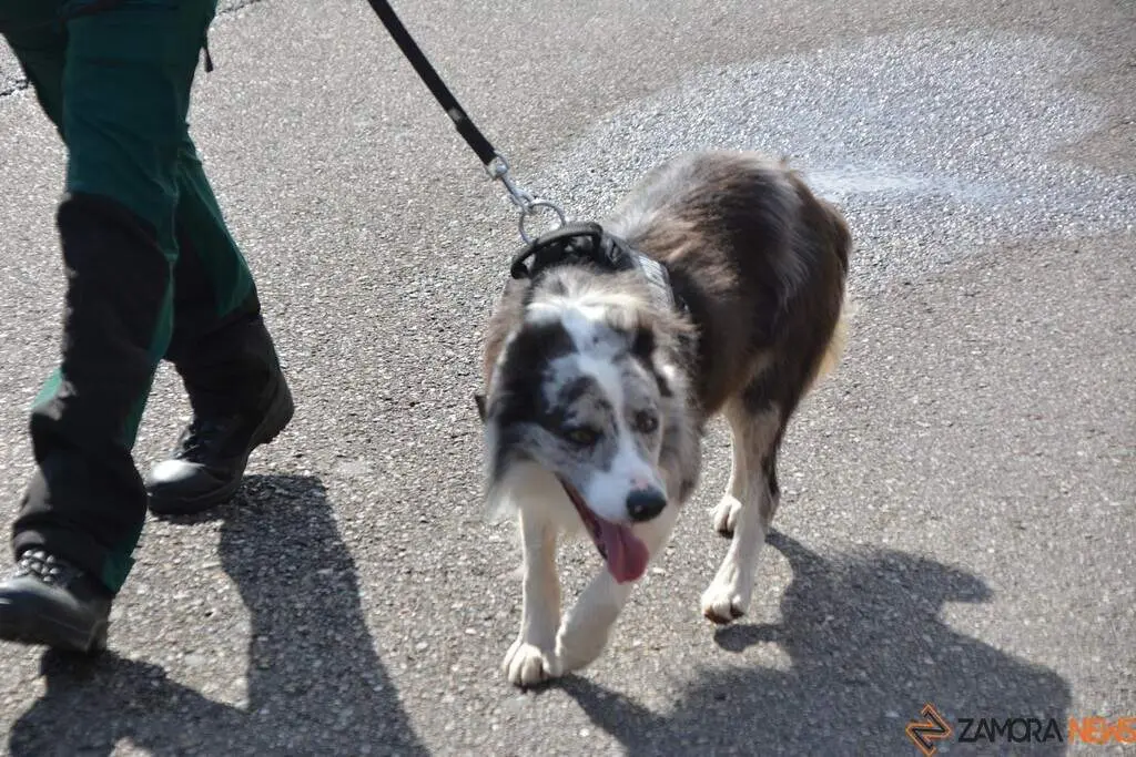 Día de la Hispanidad_141