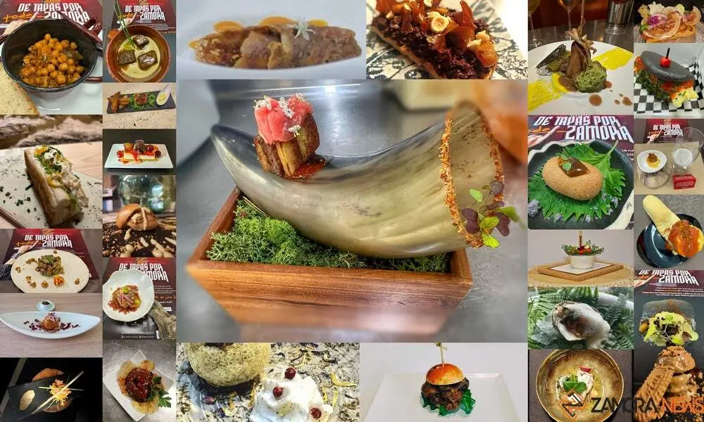 Concurso Pinchos y Tapas CYL