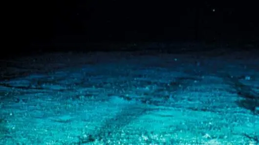 Suelo Marino