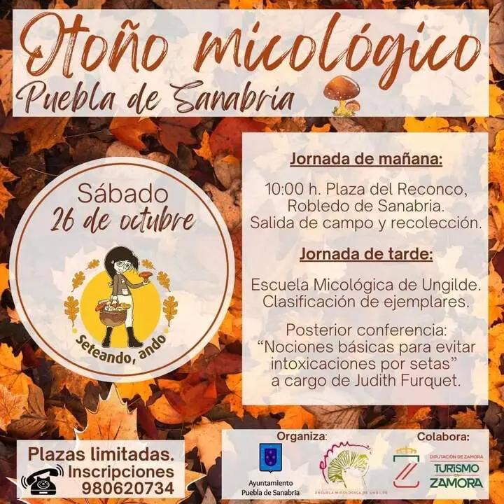 cartel otoño micológico en Puebla de Sanabria
