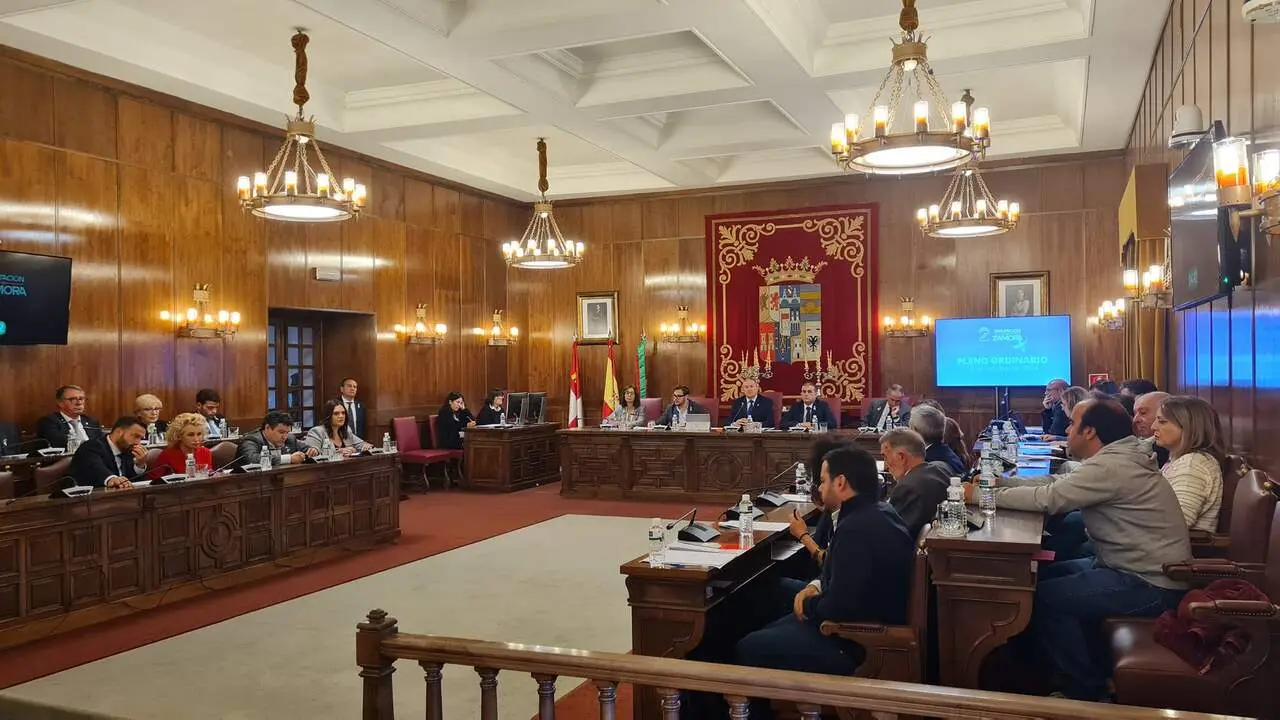 pleno octubre Diputación de Zamora
