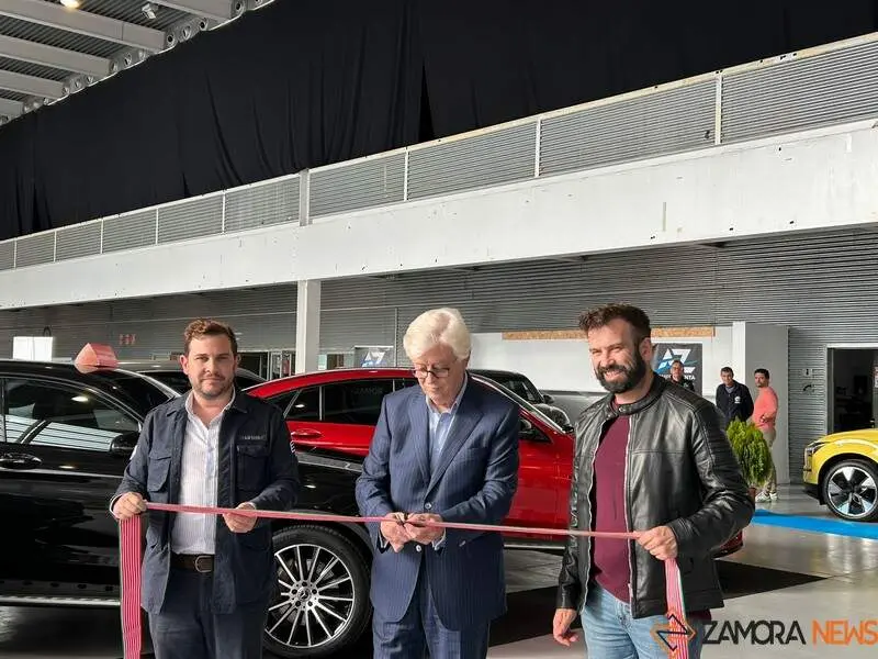 Feria del Automóvil _3
