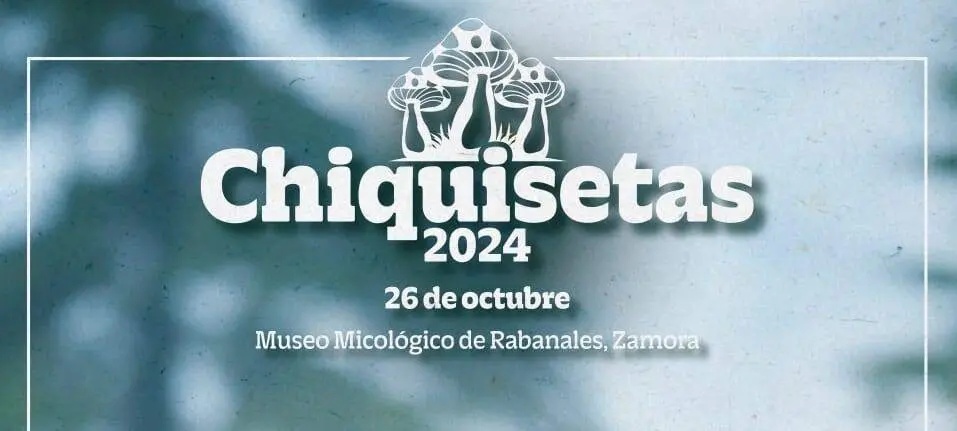 Chiquisetas Rabanales 2024