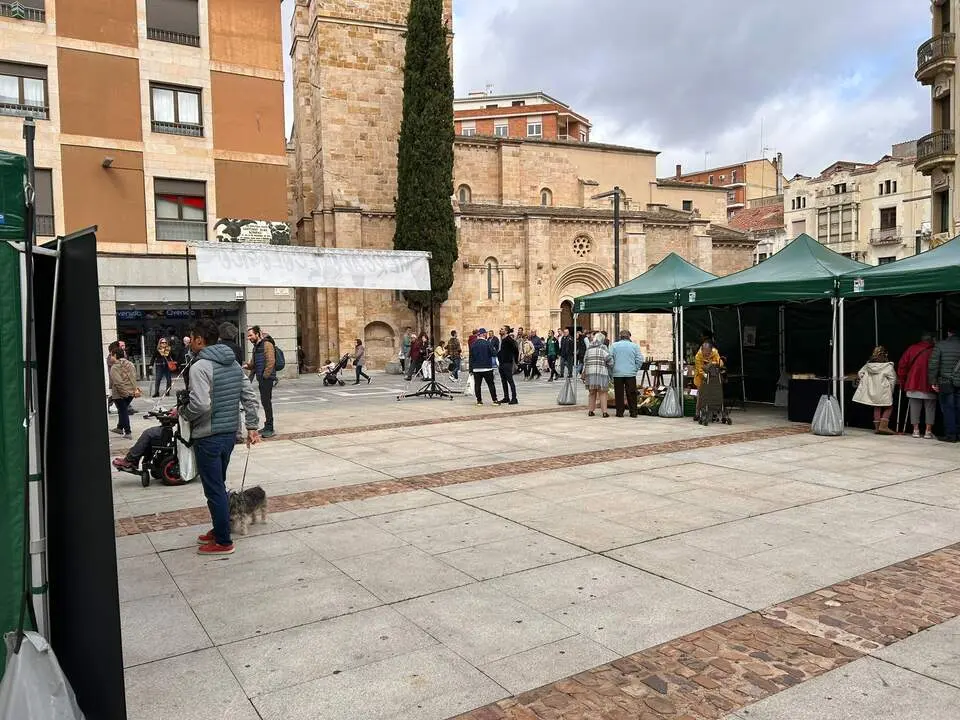 Imagen de WhatsApp 2024-10-19 a las 12.52.42_0c751179