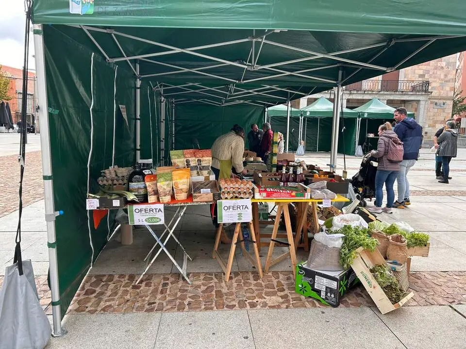 Imagen de WhatsApp 2024-10-19 a las 12.52.47_2a2b4477