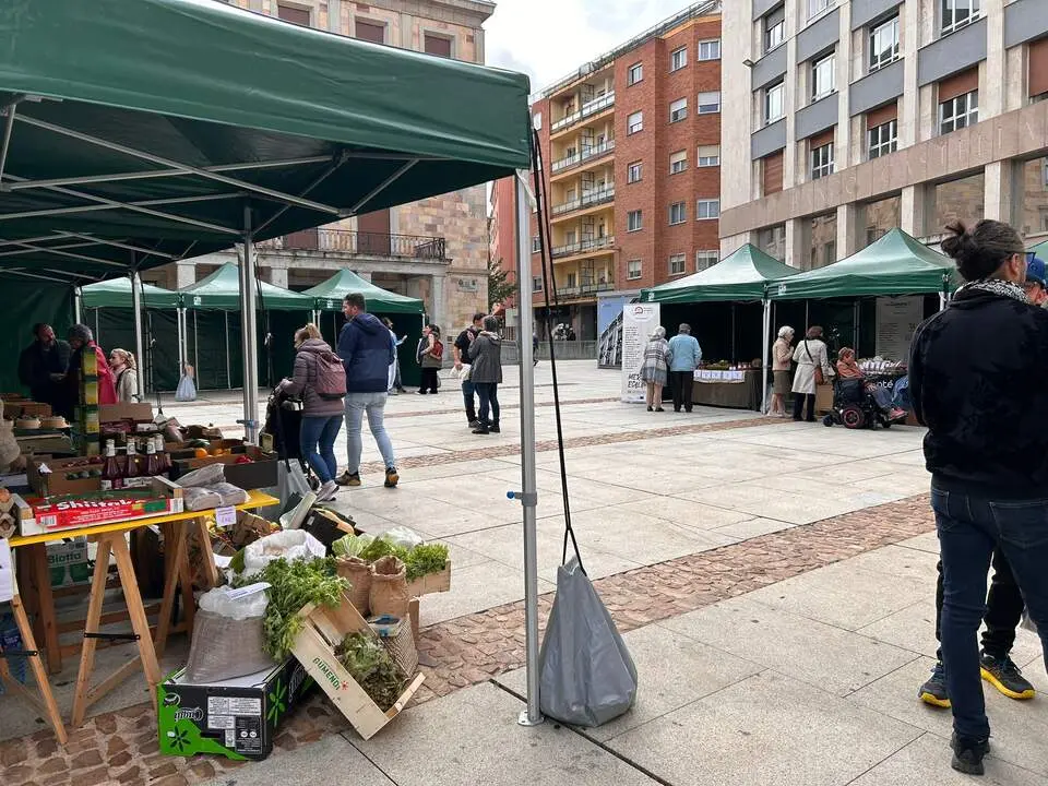 Imagen de WhatsApp 2024-10-19 a las 12.52.46_f1a28a7a