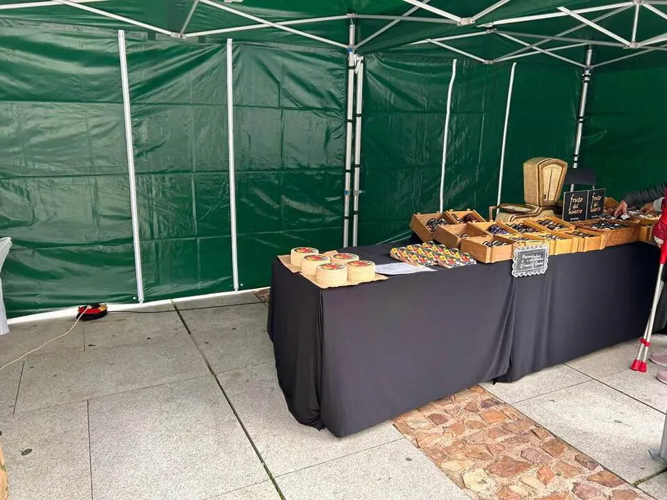 Imagen de WhatsApp 2024-10-19 a las 12.52.45_90f7e3c8