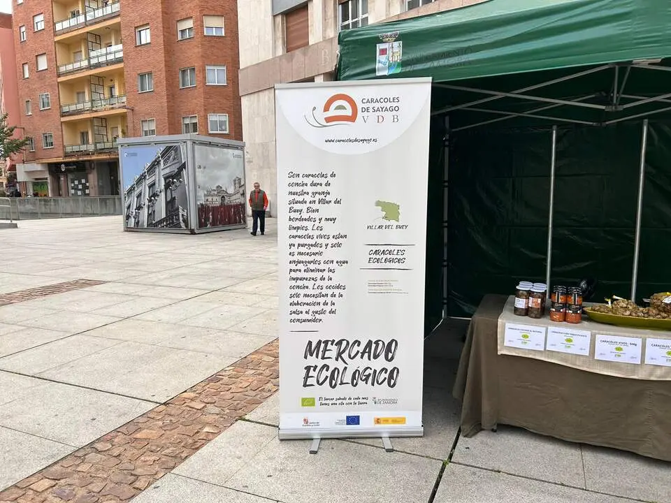 Imagen de WhatsApp 2024-10-19 a las 12.52.44_331eba6f