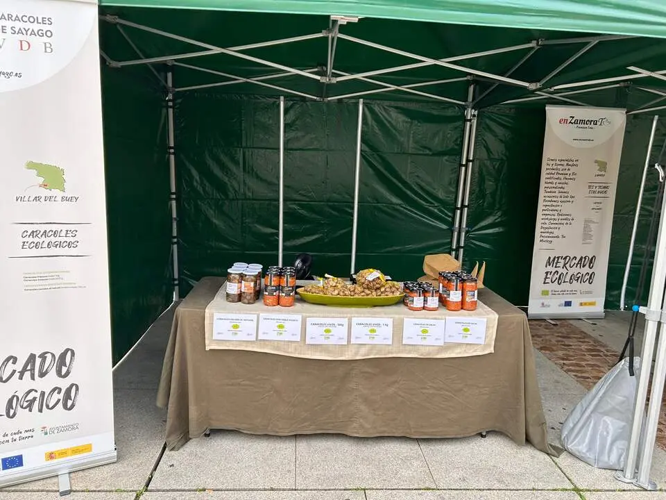 Imagen de WhatsApp 2024-10-19 a las 12.52.43_732b01aa