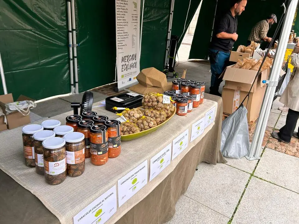 Imagen de WhatsApp 2024-10-19 a las 12.52.43_c53e3a6f