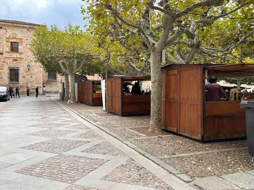 Imagen de WhatsApp 2024-10-19 a las 13.27.11_5e9be3d4