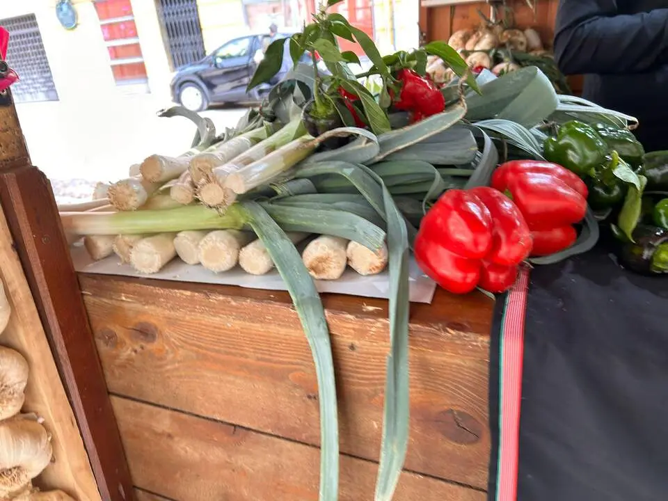 Imagen de WhatsApp 2024-10-19 a las 13.27.08_8a93be3d