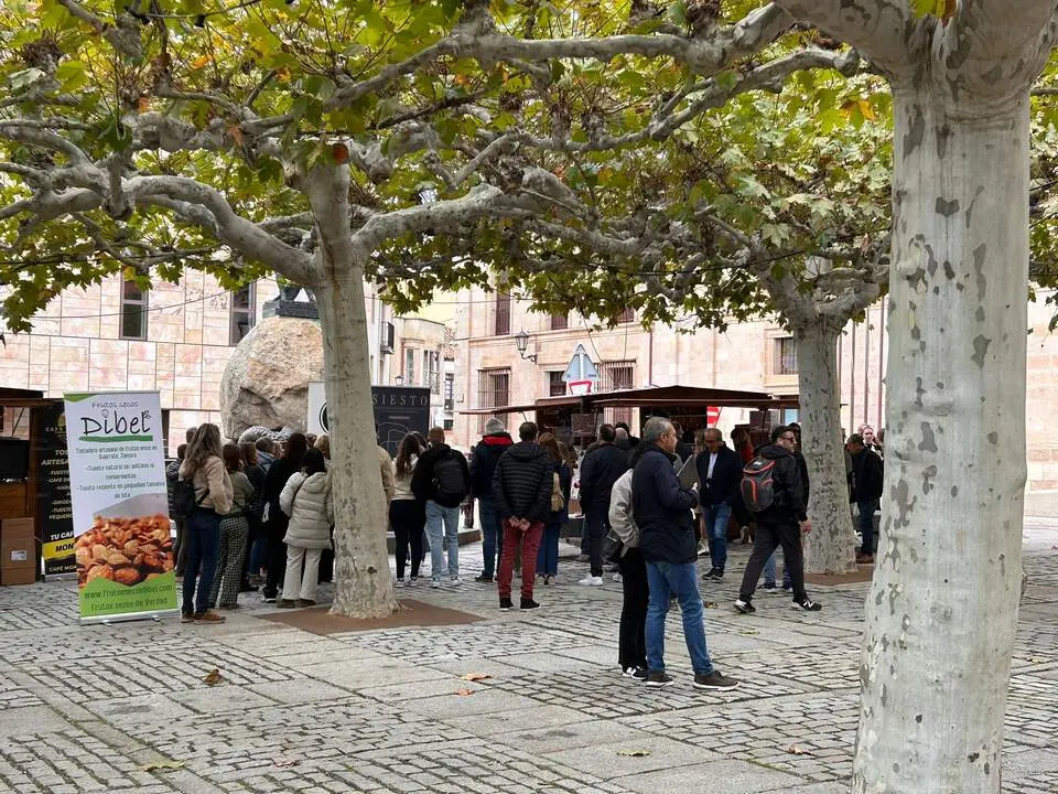 Imagen de WhatsApp 2024-10-19 a las 13.27.05_a6d872a7