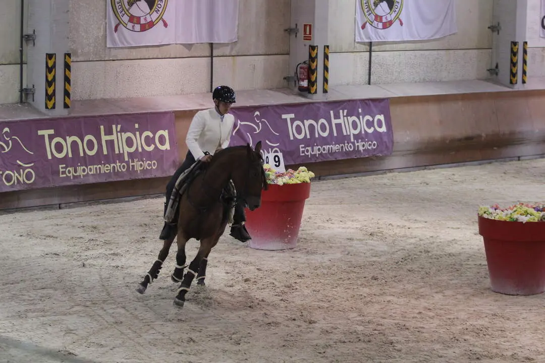 Cristian Castro Mirantes y Gallito (1)