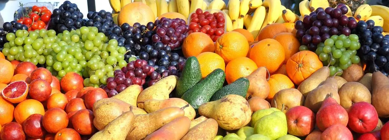 Alimentos Archivo