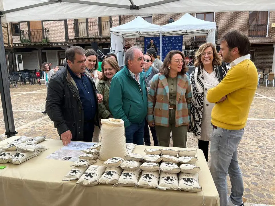 Feria+Alubia+Saldaña+(01)