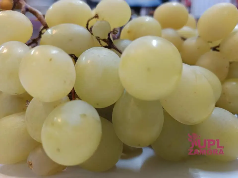 Uva Bruñal