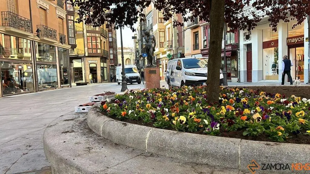 flores Plaza Sagasta _2