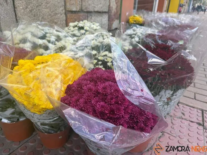 flores Todos Los Santos 