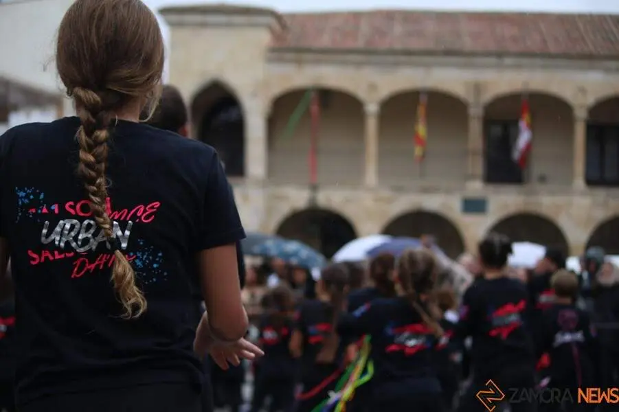 Escuela de Baile Salson _11