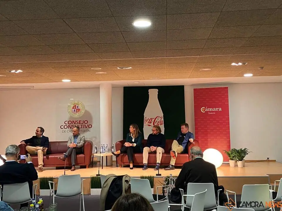 Comercio&Cocacola Zamora_2