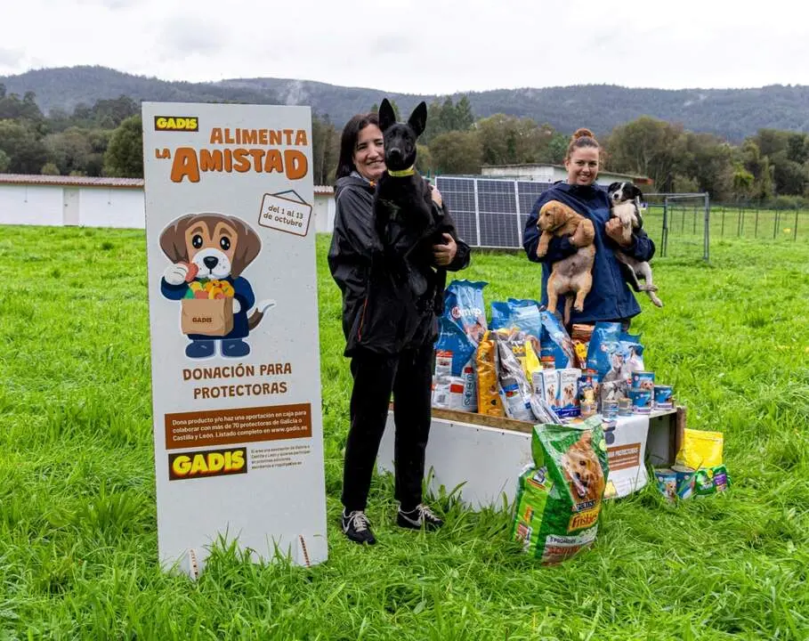 ALIMENTA LA AMISTAD