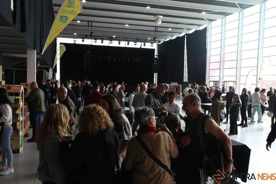 Concurso Oficial de Pinchos y Tapas _2