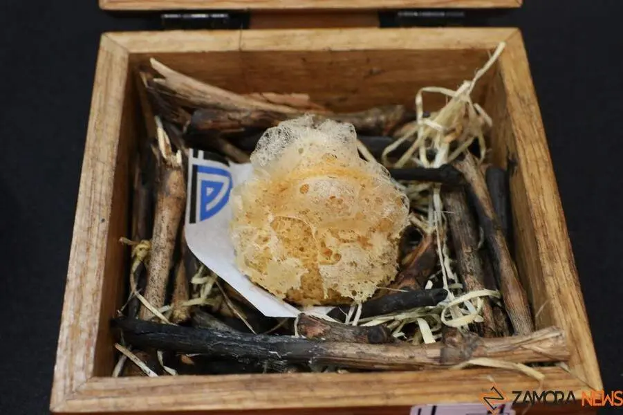 Concurso Oficial de Pinchos y Tapas _25