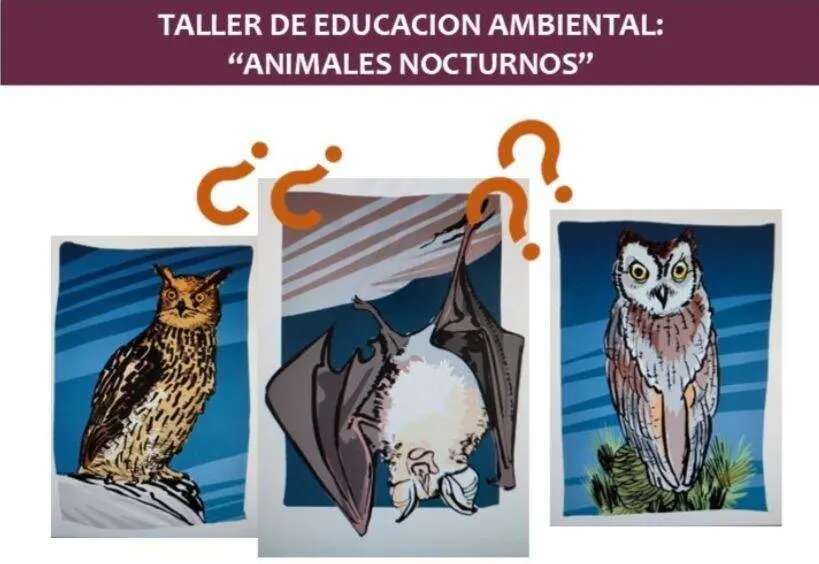 Taller Educación Ambiental