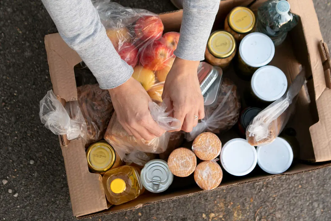 Recogida Alimentos Archivo